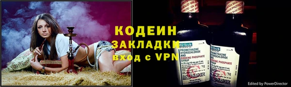 ГАЛЛЮЦИНОГЕННЫЕ ГРИБЫ Аркадак