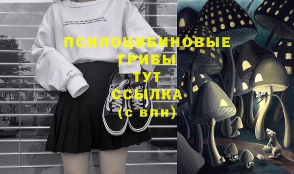 прущий лед Армянск