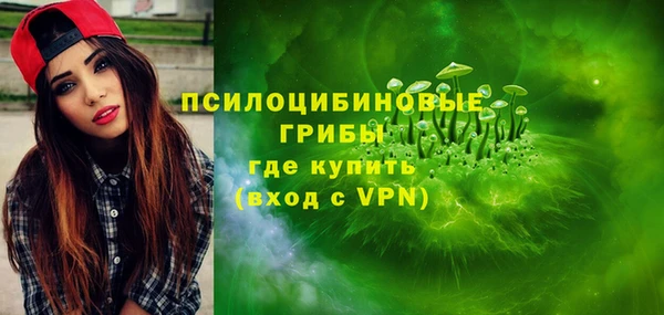apvp Арсеньев