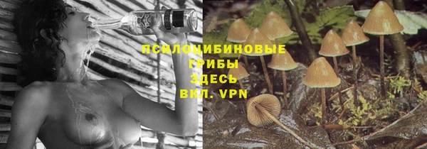 прущий лед Армянск