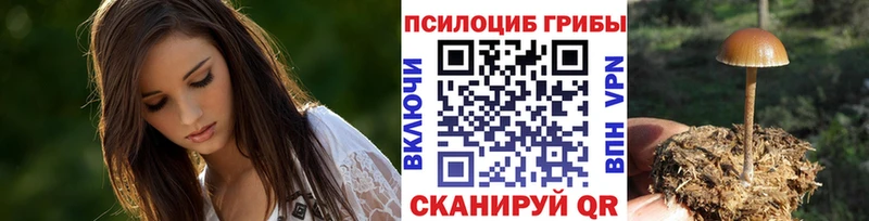 MEGA tor  Баксан  Псилоцибиновые грибы прущие грибы 