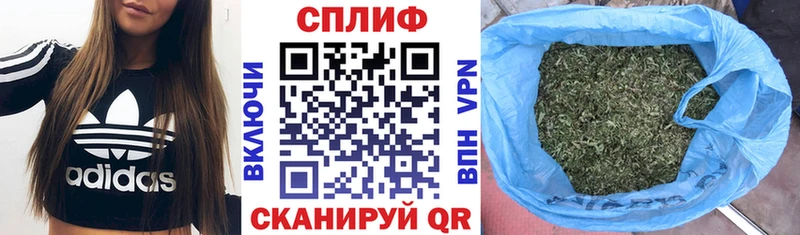 Каннабис конопля  Баксан 